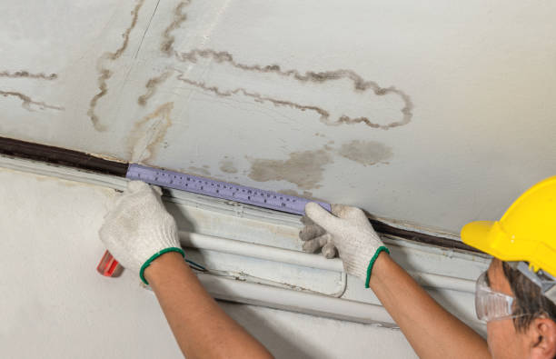Reliable Sewage Cleanup contractor in Lynchburg, VA by Water Damage Irwin